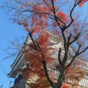 ヒメ日記 2025/12/01 13:11 投稿 まゆ(昭和49年生まれ) 熟年カップル名古屋～生電話からの営み～