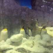 ヒメ日記 2026/01/04 08:32 投稿 まゆ(昭和49年生まれ) 熟年カップル名古屋～生電話からの営み～