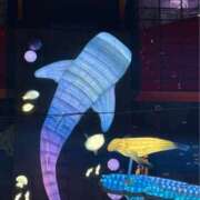 ヒメ日記 2026/01/06 06:38 投稿 まゆ(昭和49年生まれ) 熟年カップル名古屋～生電話からの営み～