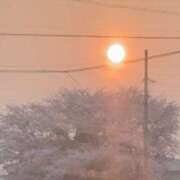 ヒメ日記 2026/03/29 15:03 投稿 まゆ(昭和49年生まれ) 熟年カップル名古屋～生電話からの営み～