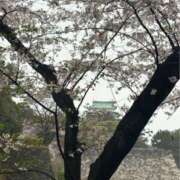 ヒメ日記 2026/04/03 05:27 投稿 まゆ(昭和49年生まれ) 熟年カップル名古屋～生電話からの営み～