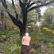 ヒメ日記 2026/04/04 07:12 投稿 まゆ(昭和49年生まれ) 熟年カップル名古屋～生電話からの営み～