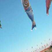 ヒメ日記 2026/04/09 08:15 投稿 まゆ(昭和49年生まれ) 熟年カップル名古屋～生電話からの営み～