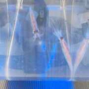 ヒメ日記 2026/04/21 10:20 投稿 まゆ(昭和49年生まれ) 熟年カップル名古屋～生電話からの営み～