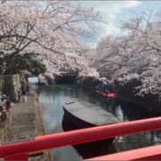 ヒメ日記 2026/04/25 12:33 投稿 まゆ(昭和49年生まれ) 熟年カップル名古屋～生電話からの営み～
