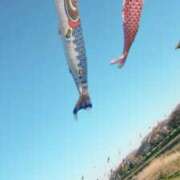 ヒメ日記 2026/05/01 07:27 投稿 まゆ(昭和49年生まれ) 熟年カップル名古屋～生電話からの営み～