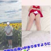 ヒメ日記 2026/08/20 07:33 投稿 まゆ(昭和49年生まれ) 熟年カップル名古屋～生電話からの営み～