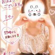 ヒメ日記 2026/08/24 07:14 投稿 まゆ(昭和49年生まれ) 熟年カップル名古屋～生電話からの営み～