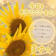 ヒメ日記 2026/08/30 16:43 投稿 まゆ(昭和49年生まれ) 熟年カップル名古屋～生電話からの営み～