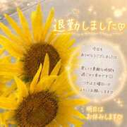 ヒメ日記 2026/09/02 18:40 投稿 まゆ(昭和49年生まれ) 熟年カップル名古屋～生電話からの営み～