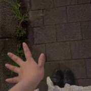 ヒメ日記 2025/07/17 21:39 投稿 もみじ One More奥様　立川店