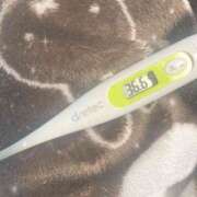 ヒメ日記 2025/12/30 10:01 投稿 るるか もしも素敵な妻が指輪をはずしたら・・・