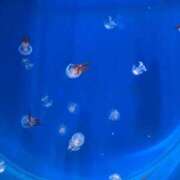 ヒメ日記 2025/09/13 19:20 投稿 るん One More奥様　町田相模原店