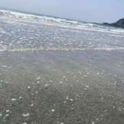 ヒメ日記 2025/09/15 08:00 投稿 るん One More奥様　町田相模原店