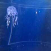 ヒメ日記 2025/09/16 01:03 投稿 るん One More奥様　町田相模原店