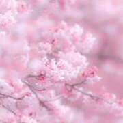 ヒメ日記 2025/10/10 19:22 投稿 るん One More奥様　町田相模原店