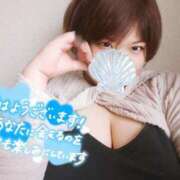 ヒメ日記 2025/07/11 09:35 投稿 かなで【業界未経験】 茨城水戸ちゃんこ