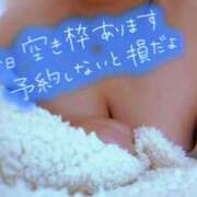 ヒメ日記 2025/07/15 12:06 投稿 かなで【業界未経験】 茨城水戸ちゃんこ