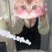 ヒメ日記 2025/07/16 19:25 投稿 かなで【業界未経験】 茨城水戸ちゃんこ