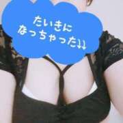 ヒメ日記 2025/07/27 21:05 投稿 かなで【業界未経験】 茨城水戸ちゃんこ