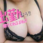 ヒメ日記 2025/07/30 12:14 投稿 かなで【業界未経験】 茨城水戸ちゃんこ