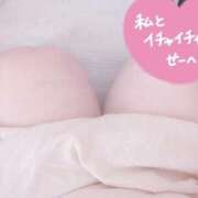 ヒメ日記 2025/09/01 12:35 投稿 かなで【業界未経験】 茨城水戸ちゃんこ