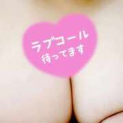 ヒメ日記 2025/09/05 15:07 投稿 かなで【業界未経験】 茨城水戸ちゃんこ