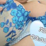 ヒメ日記 2025/10/04 20:55 投稿 かなで【業界未経験】 茨城水戸ちゃんこ