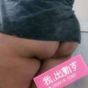 ヒメ日記 2025/11/16 12:06 投稿 かなで【業界未経験】 茨城水戸ちゃんこ