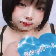 ヒメ日記 2025/11/20 14:35 投稿 かなで【業界未経験】 茨城水戸ちゃんこ