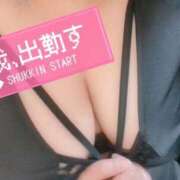 ヒメ日記 2025/11/27 12:05 投稿 かなで【業界未経験】 茨城水戸ちゃんこ