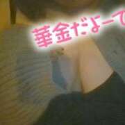 ヒメ日記 2026/01/30 12:15 投稿 かなで【業界未経験】 茨城水戸ちゃんこ