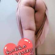 ヒメ日記 2026/01/30 15:45 投稿 かなで【業界未経験】 茨城水戸ちゃんこ