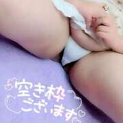 ヒメ日記 2026/01/31 09:05 投稿 かなで【業界未経験】 茨城水戸ちゃんこ