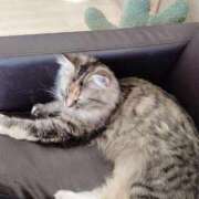 ヒメ日記 2025/11/25 21:08 投稿 せいら 宮城大崎古川ちゃんこ