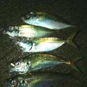 ヒメ日記 2025/07/16 10:01 投稿 みなと 西川口おかあさん