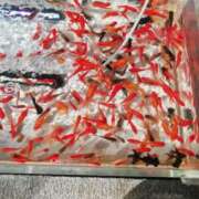 ヒメ日記 2025/08/03 16:21 投稿 みなと 西川口おかあさん