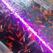 ヒメ日記 2025/08/23 13:10 投稿 みなと 西川口おかあさん