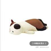 ヒメ日記 2026/04/04 21:46 投稿 みなと 西川口おかあさん