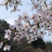 ヒメ日記 2026/04/10 10:56 投稿 みなと 西川口おかあさん