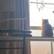 そら 乳首 西川口おかあさん