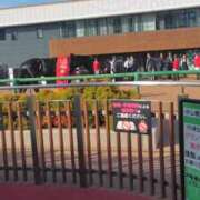 ヒメ日記 2026/04/20 14:05 投稿 ほたる 西川口おかあさん