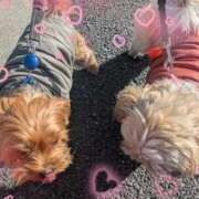 ヒメ日記 2026/02/10 10:46 投稿 あみ 西川口おかあさん