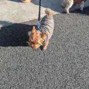 ヒメ日記 2026/02/23 16:06 投稿 あみ 西川口おかあさん