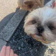 ヒメ日記 2026/03/15 12:16 投稿 あみ 西川口おかあさん