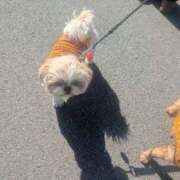 ヒメ日記 2026/03/17 10:36 投稿 あみ 西川口おかあさん