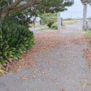 ヒメ日記 2025/10/20 17:26 投稿 まい 西川口おかあさん