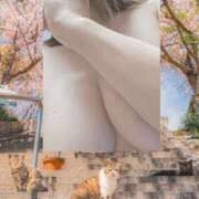 ヒメ日記 2026/04/01 17:16 投稿 ゆずは 西川口おかあさん