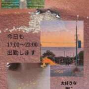 ヒメ日記 2026/05/31 12:01 投稿 ゆずは 西川口おかあさん