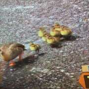 ヒメ日記 2025/08/05 20:37 投稿 みずき 西川口おかあさん